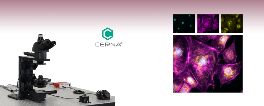 Cerna®顕微鏡、落射照明および透過照明モジュール付き
