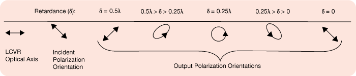 Polarization Control