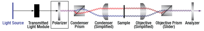 DIC Optical Schematic