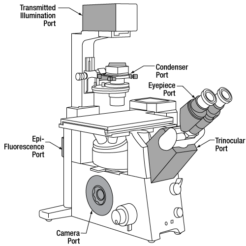 Olympus製BXおよびIX顕微鏡用アダプター