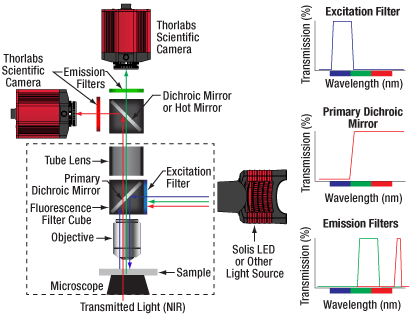 Simultaneous NIR and Fluorescence Imaging