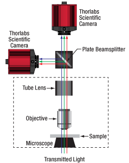 Simultaneous Dual Wavelength Fluorescence using a 50:50 Beamsplitter